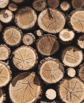 Dansk Plank træstubbe