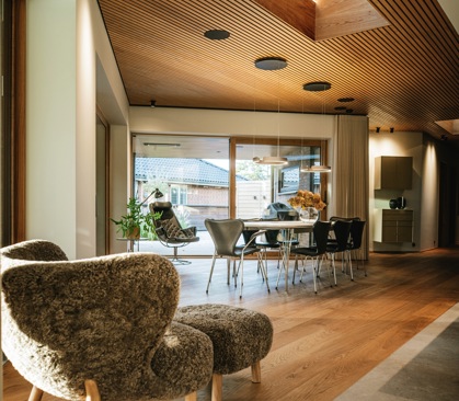 Dansk Plank Case 001