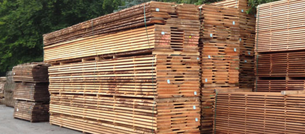 Spændende projekter i ind- og udland