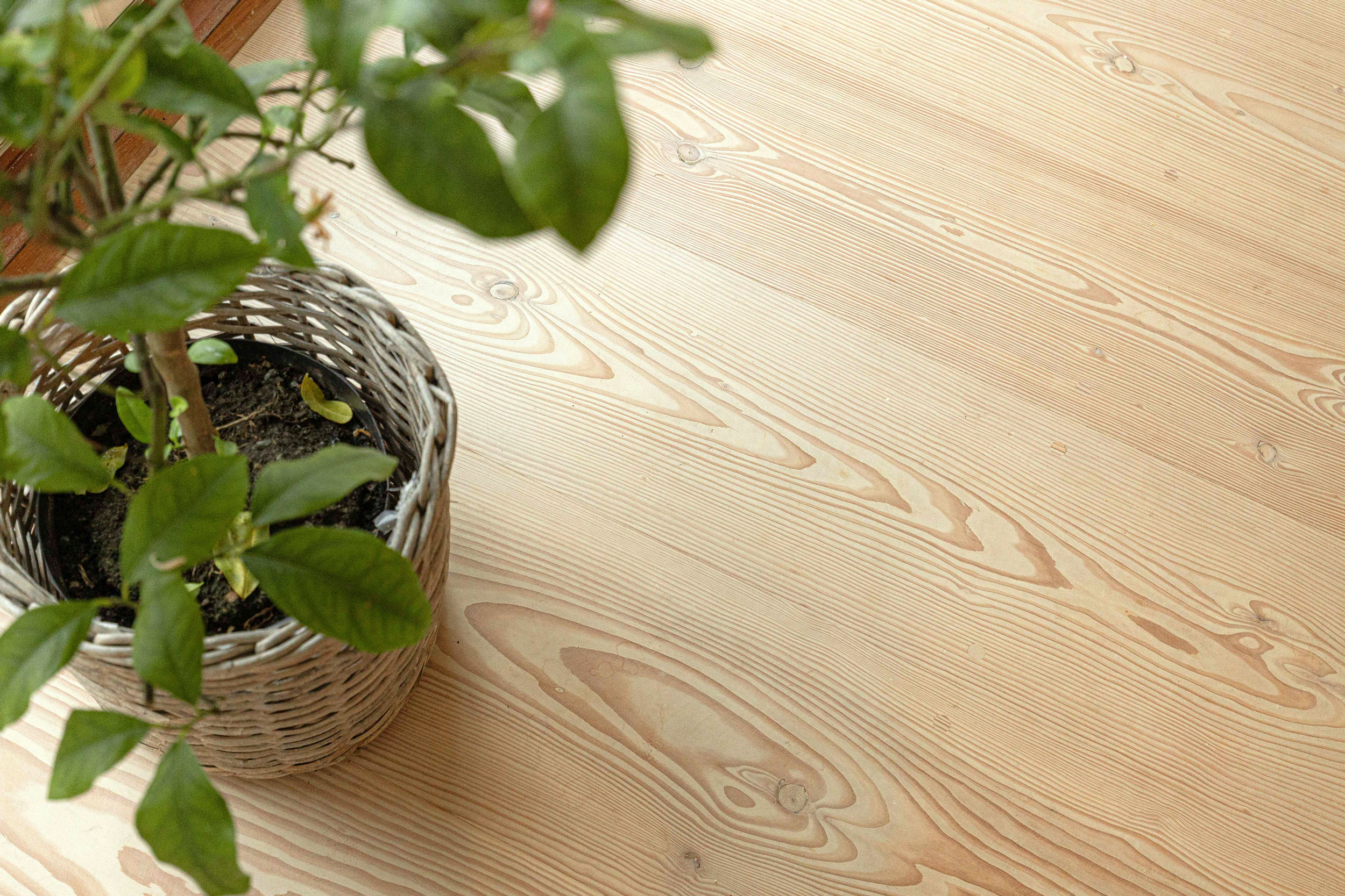 Dansk Plank Reference 2 3