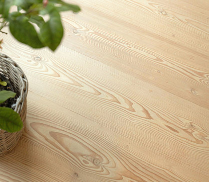 Dansk Plank Reference 2 3